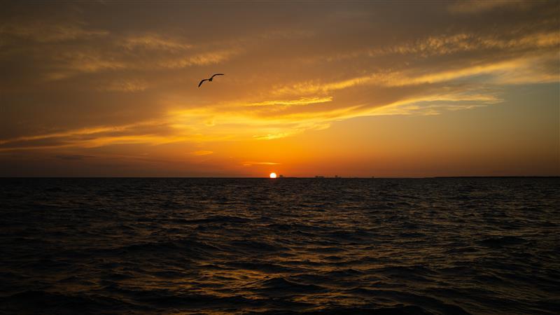 The sun sets on the Mississippi Sound as the Captain Anthony stops to pick up the evening's first catch.