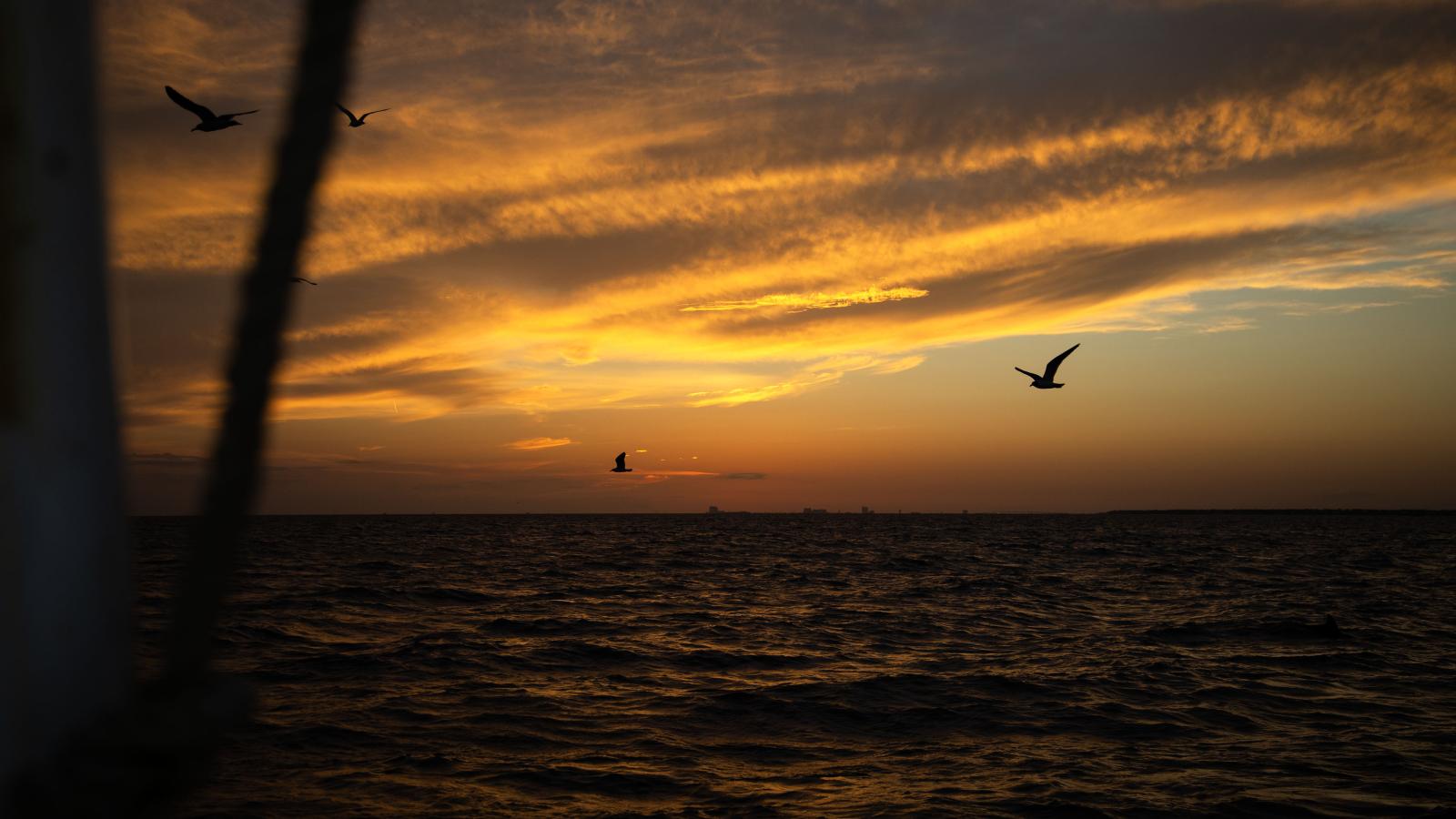A sunset from the view of the boat.