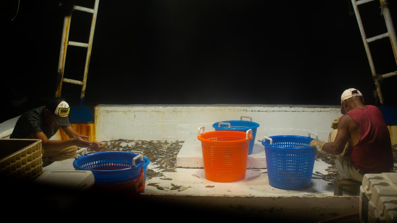 A shot of the stern of the boat as 2 fisherman prepare their work areas.