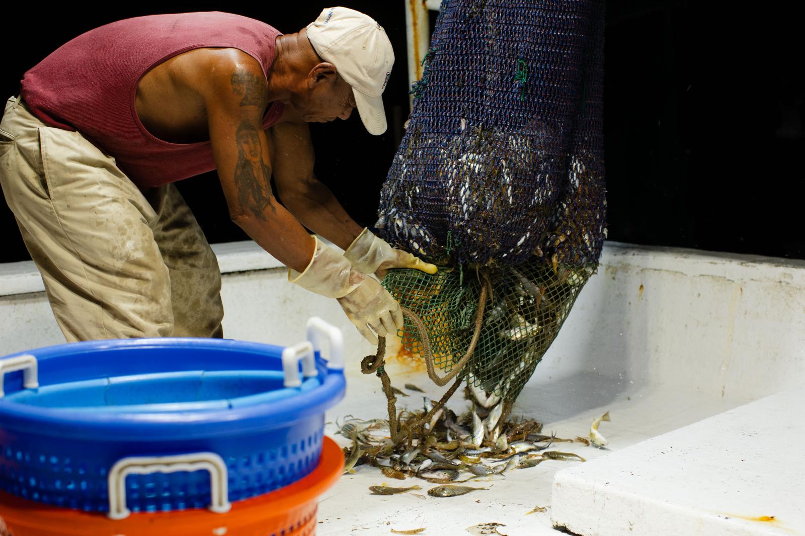 Lee opens the net, their catch spilling across the sorting deck.