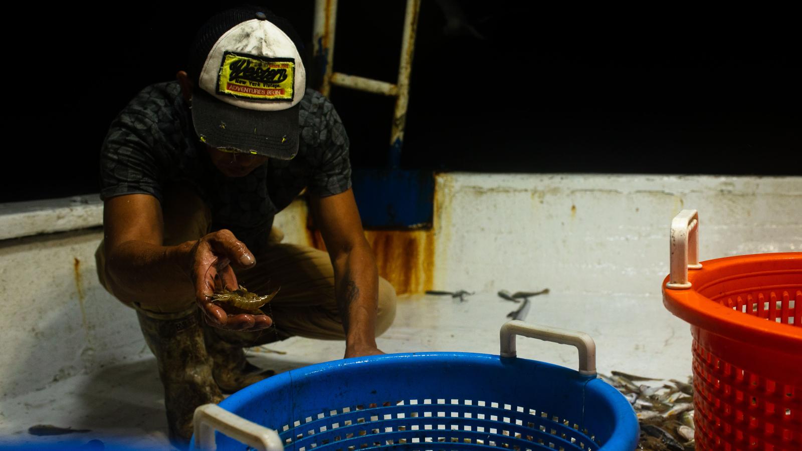 A fisherman reviews a recent catch.