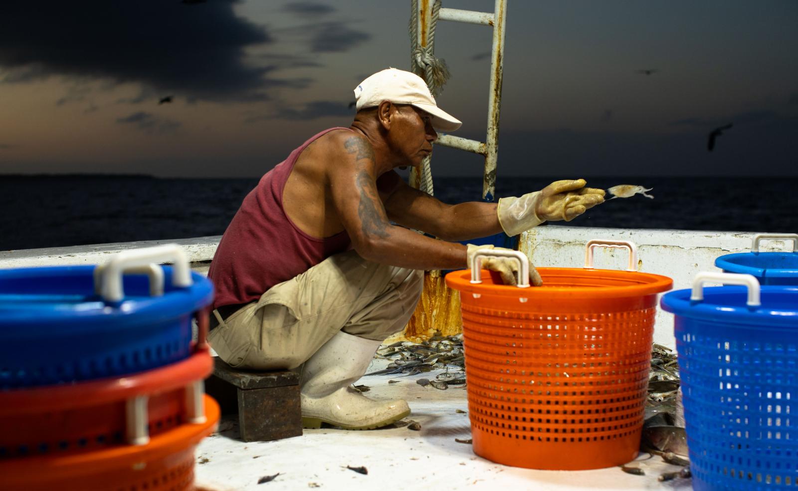 Lee continues to sort and catch shrimp, this is a process that goes on every hour on the hour.
