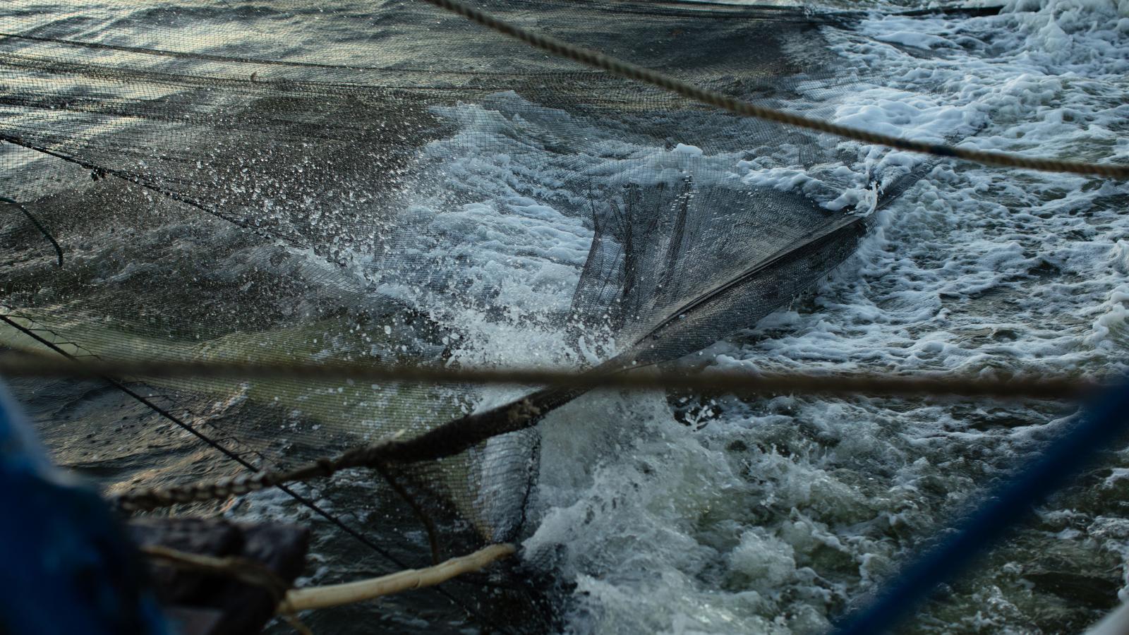 The nets are dropped into choppy waters.
