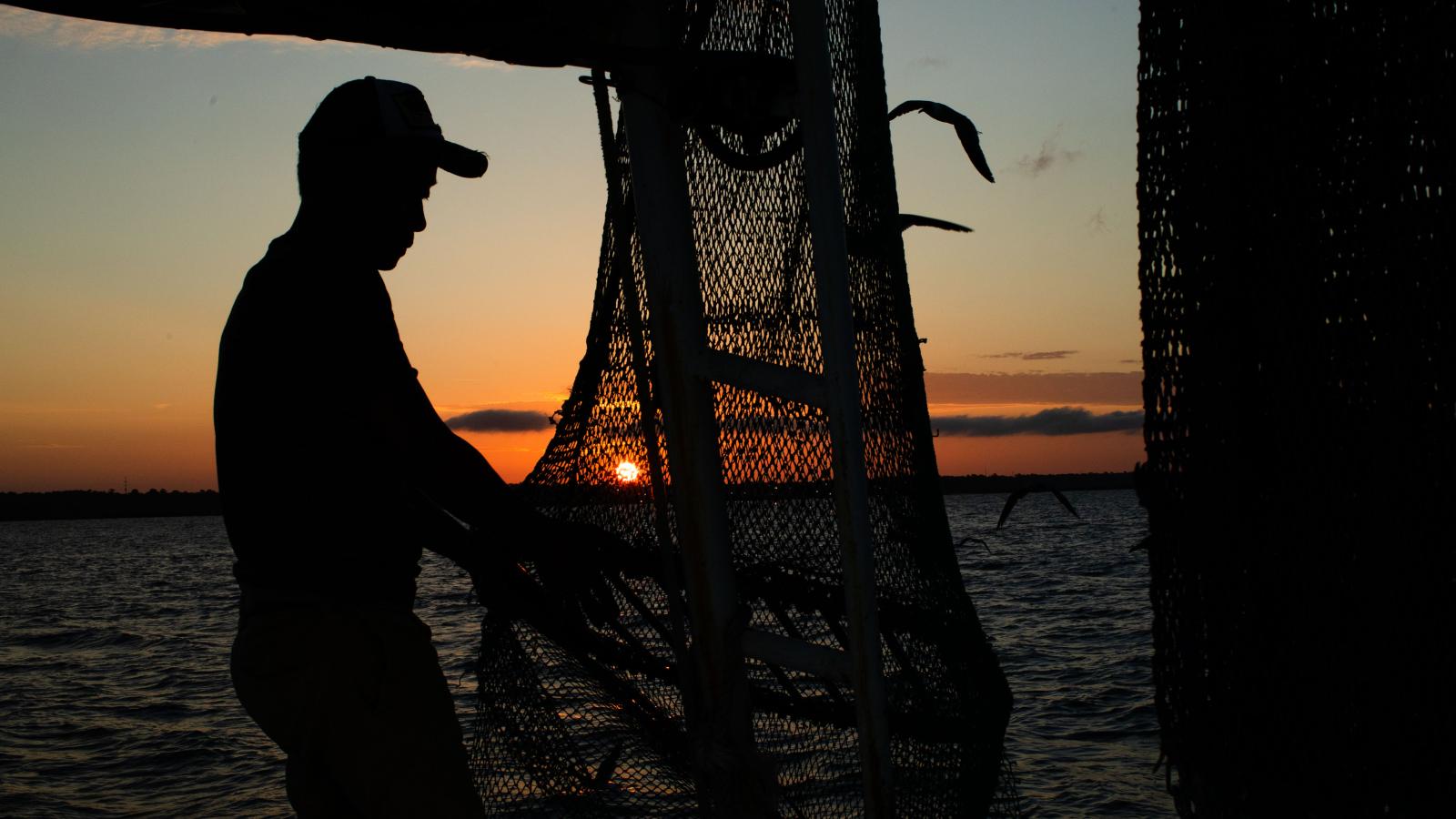 Captain brings in the nets as they head back to the docks.