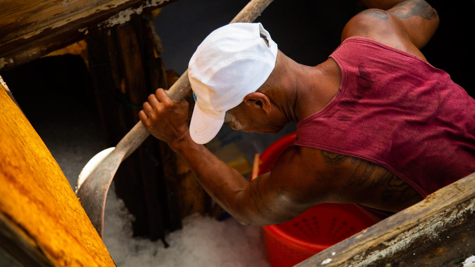 Deck hand shovels ice aboard fishing boat.